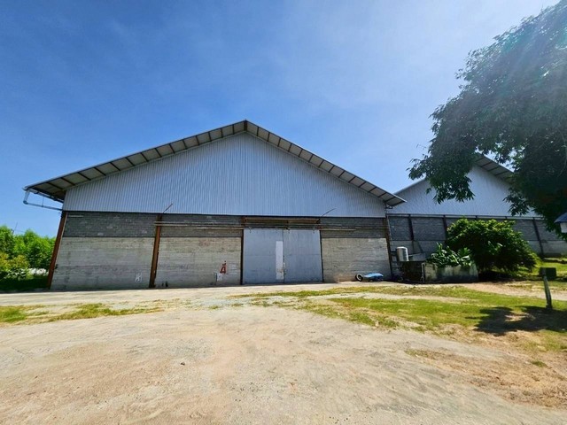 ให้เช่าโกดังโรงงานที่ดินชลบุรี ห้เช่าโกดังและคลังสินค้าสวยราคาถูก ขนาด พื้นที่  5,000 ตรม มีพื้นที่ว่างเหลือบริเวณกว้างสำหรับใช้งาน