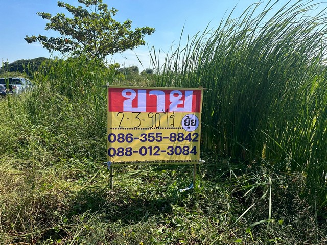 ขายที่ดิน 2-3-90 ไร่   ซ.ร่มเกล้า 25/2   ลาดกระบัง กรุงเทพ