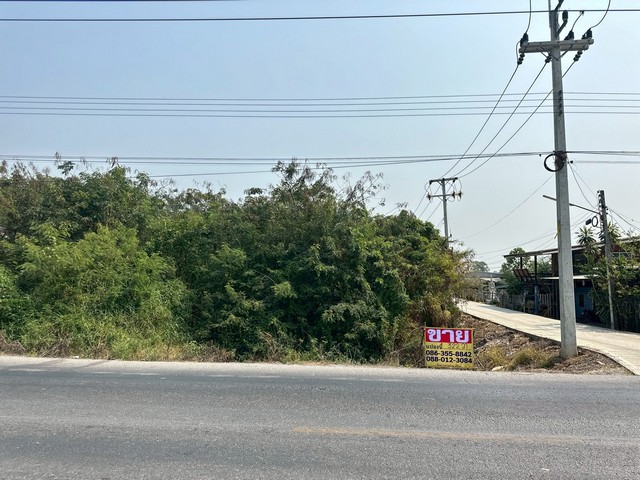 ขายที่ดิน 322 วา  ติดถนนปทุมธานี3034  คลอง13  ฝั่งตะวันออก  หนองเสือ ปทุมธานี