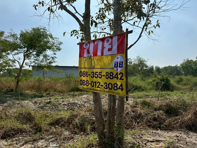 ขายที่ดิน  2 ไร่   คลอง9 ถนนรังสิต-นครนายก   บึงสนั่น   ธัญบุรี   ปทุมธานี