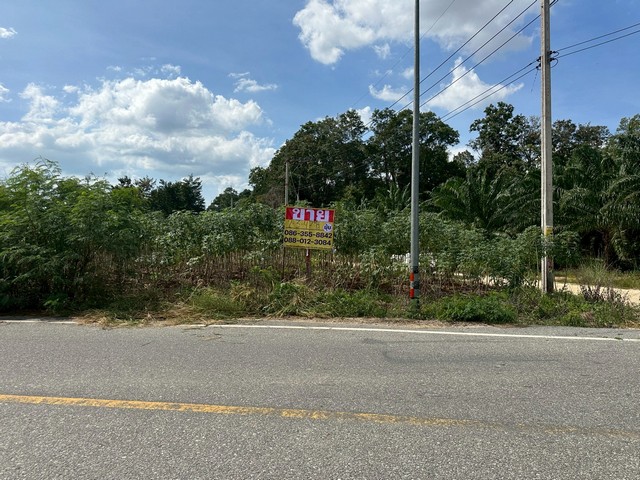 ขายที่ดิน  2-3-47 ไร่  ตำบลห้วยใหญ่   บางละมุง ชลบุรี