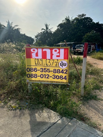ขายที่ดิน 60วา 2 แปลง ตะเคียนเตี้ย  บางละมุง  ชลบุรี  ZT607 