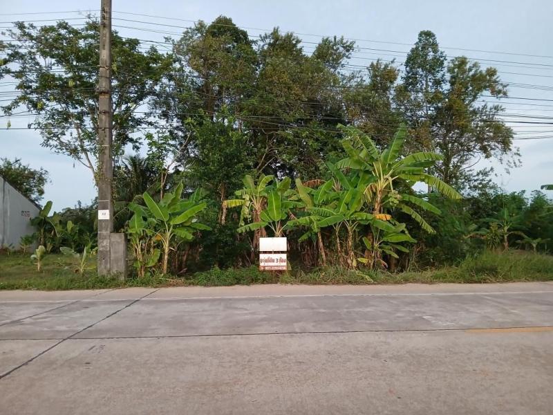 ขายให้เช่า หรือแลกเปลี่ยน ที่ดินเปล่า 3 ห้อง ติดถนนสายสะพานพร้าว ห่างจากศาลากลางจังหวัดประมาณ 2 กม. จังหวัดพัทลุง