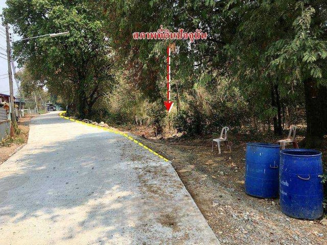 ที่ดินเปล่าติดแม่น้ำป่าสัก พื้นที่ 2-2-17 ไร่ ต.ปากจั่น อ.นครหลวง จ.พระนครศรีอยุธยา