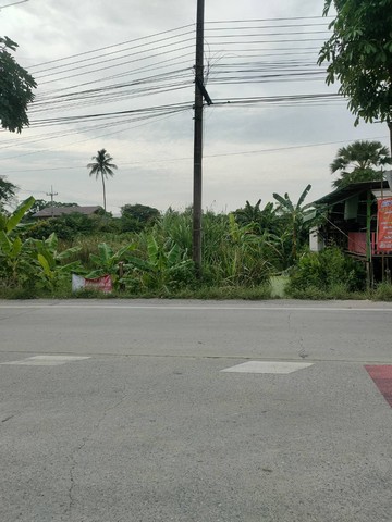 ขายด่วน ที่ดินเปล่า 49  ตร.ว. คลองโยง-พุทธมณฑล ใกล้มหิดล ศาลายา เดินทางเข้ากรุงเทพาะดวก