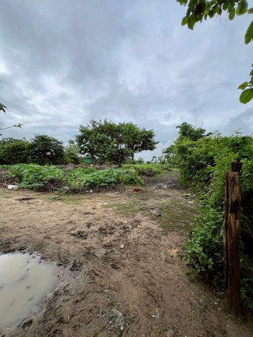 ที่ดินเปล่า ทำเลดี ติดถนนใหญ่ เดินทางสะดวก โซนสันกำแพง