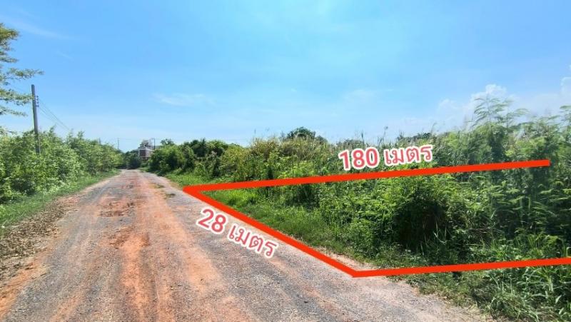 ขายที่ดินเปล่า ถนนบางบอน 5 ซอย 10เนื้อที่ขนาด 2-1-89 ไร่ ( 989 ตารางวา )แขวงบางบอนเหนือ เขตบางบอน กรุงเทพฯใกล้สี่แยกเอกชัย 131 ทะลุออกพระราม 2ตำแหน่งที่ดิน :ถนนบางบอน 5 ซอย 10เข้าจากปากซอย 10 ประมาณ 500 เมครจะถึงตำแหน่งที่ดินอยู่ใกล้หมู่บ้านกานดาการ์เด้นท์ ( บางบอน 5 ซ.10)ใกล้โรงเรียนอนุบาลทานตะวัน ( บางบอน 5 ซ.10)ทำเลที่ดิน :ถนนบางบอน 5 สามารถเชื่อมต่อกับถนนเอกชัย ถนนเพชรเกษม และถ�