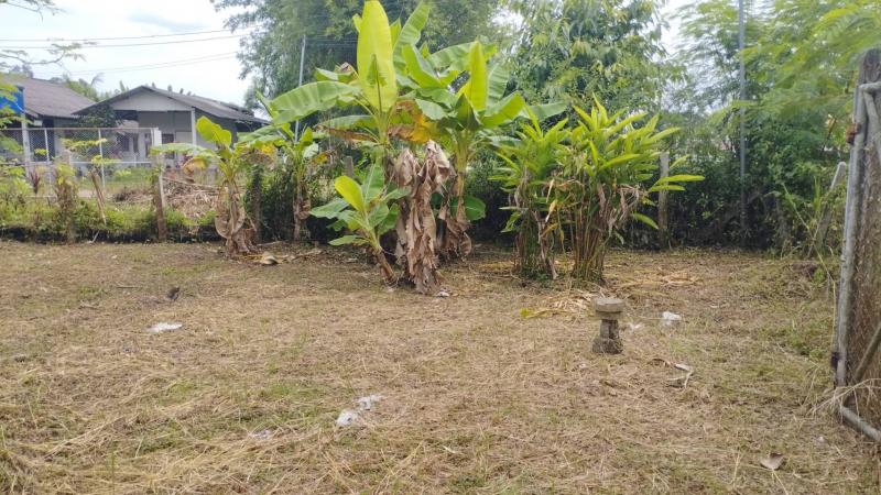 ที่ดินทำเลทอง ตำบลป่าไผ่ อำเภอสันทราย จังหวัดเชียงใหม่