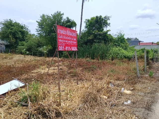 ขายที่ดิน แปลงสวย เนื้อที่ 2 ไร่ ปลูกมะพร้าวน้ำหอม ท่าตลาด สามพราน นครปฐม