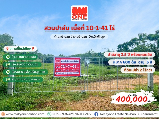ที่ดินสวนปาล์ม 10-1-41 ไร่ ปาล์มน้ำมัน 3.5 ปี + หมาก 600 ต้น + พร้อมที่ดินเปล่า 2 ไร่ 