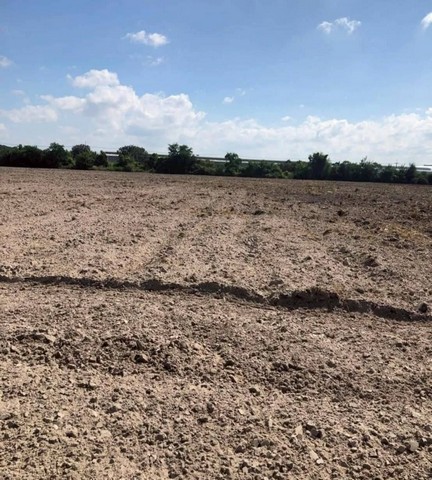 ขายที่ดินบ้านบึงชลบุรี ขายที่ดิน 49-3-38.1 ไร่ผัง สีเหลืองอ่อนที่ดินรูปแปลงสวย พื้นเสมอ ไม่ต้องถม