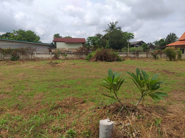 ขายด่วน บ้านพร้อมที่ดิน ขนาด 2 ไร่ 1 งาน 15 ตารางวา ต.หนองกอมเกาะ อ.เมือง จ.หนองคาย