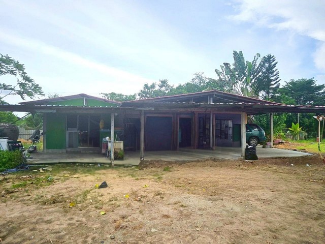 ขายที่ดินพร้อมสิ่งปลูกสร้างพนัสนิคมชลบุรีบนเนื้อที่  1  ไร่บ้าน 3 ห้องนอน 1 ห้องน้ำ