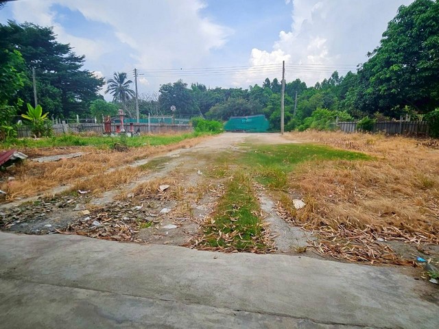 ขายที่ดินพร้อมสิ่งปลูกสร้างพนัสนิคมชลบุรีบนเนื้อที่  1  ไร่บ้าน 3 ห้องนอน 1 ห้องน้ำ