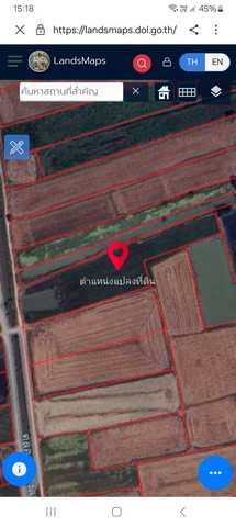 ขายที่ดินตำบลบางชะนี อำเภอบางบาล จังหวัดพระนครศรีอยุธยา เนื้อที่ 13 ไร่ 1 งาน 57 ตารางวา