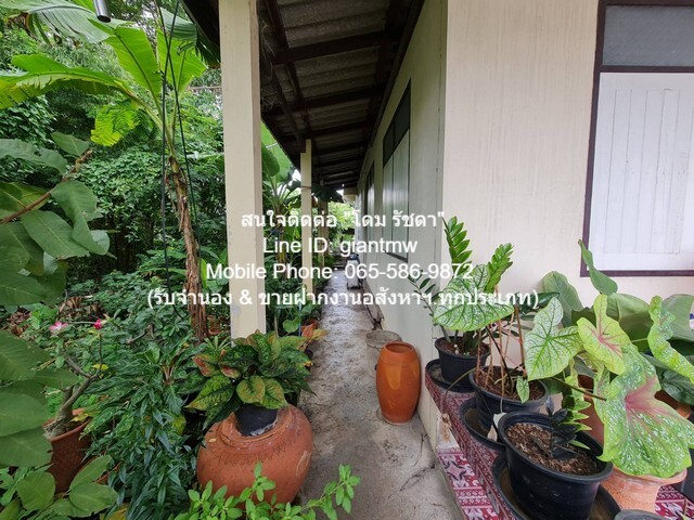 ขาย บ้าน ขายบ้านสวน 2 ชั้น  area 0 RAI 1 NGAN 0 ตาราง-วา  4000000 บาท.   คุ้มสุดๆ