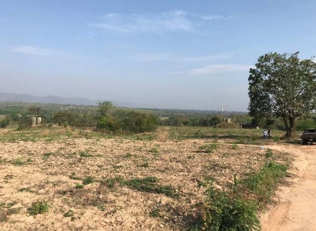 ขายที่ดิน 646ไร่ รวม113ลบ. ฟรีโอน ไร่ละ175,000บ. ติดถนนลาดยาง ไฟฟ้าถึง ใกล้วัดพระพุทธบาทห้วยต้ม บ้านห้วยต้ม ต.นาทราย อ.ลี้ ลำพูน