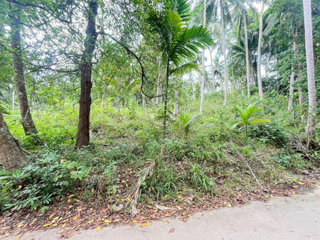 ประกาศขายที่ดิน ตำบลลิปะน้อย อำเภอเกาะสมุย สุราษฎร์ ที่ดินเปล่า ติดลำธาร และเนินเขาสวยๆ ถนนคอนกรีตตัดผ่าน ขายที่ดินสมุย 3ไร่กว่า