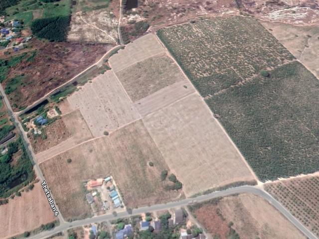 ขายที่ดิน 43 ไร่ 1 งาน แปลงสี่เหลี่ยมเนินหลังเต่า ถนน 304 อำเภอพนมสารคาม จังหวัดฉะเชิงเทรา