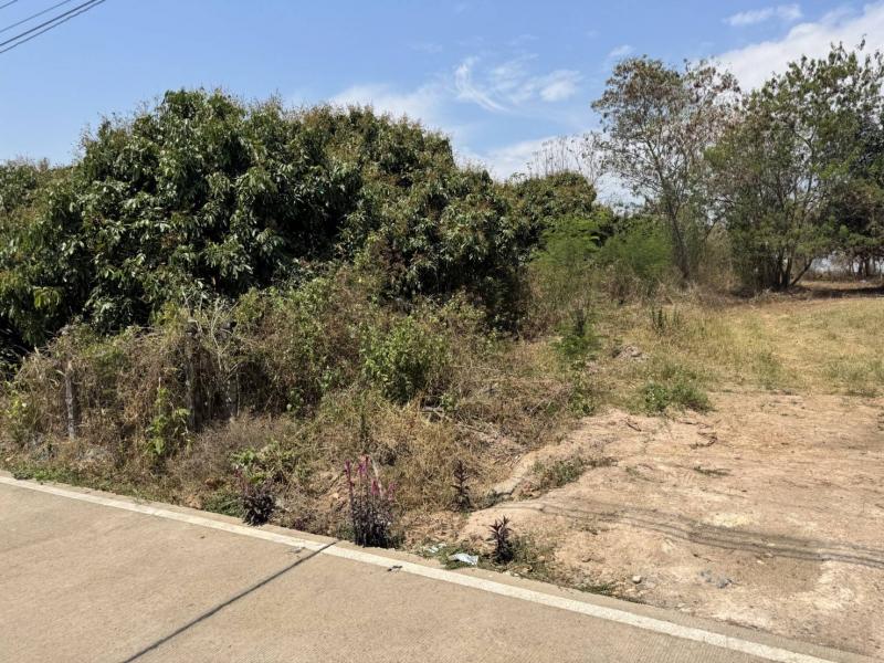 *ที่ดินแปลงทอง โอกาสทองของนักลงทุน .ป่าไผ่ อ.สันทราย จ.เชียงใหม่