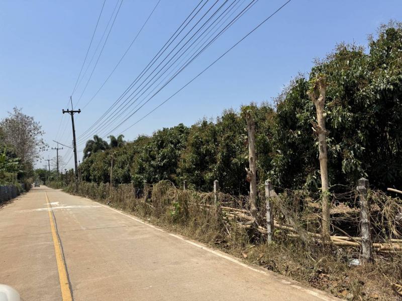 *ที่ดินแปลงทอง โอกาสทองของนักลงทุน .ป่าไผ่ อ.สันทราย จ.เชียงใหม่