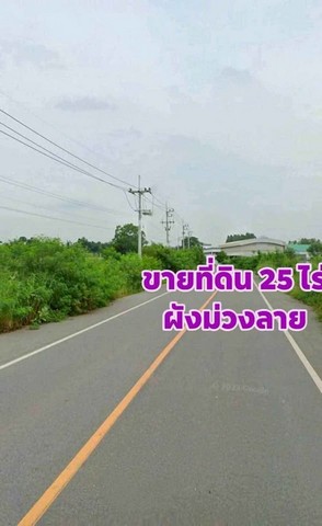 ขายที่ดินผังม่วงแปลงยาวฉะเชิงเทรา ขายที่ดินสวยโซนโรงงานอุตสาหกรรม ผังม่วงลาย บนเนื้อ  25-2-97ไร่  ( อยู่โซนโรงงาน )