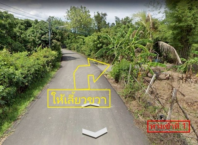 ที่ดินสวนลำไย บรรยากาศธรรมชาติ ติดคลองชลประทาน สันกำแพง