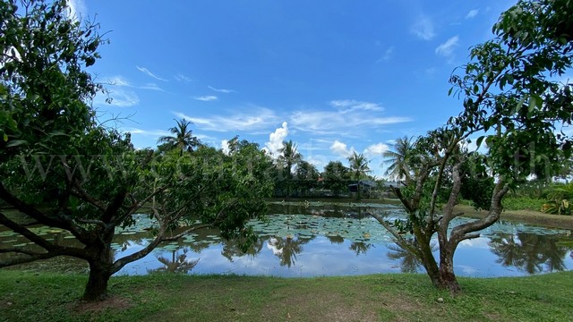 ที่ดิน พร้อมบ้านเดี่ยว ชั้นเดียว 2-3-97 ไร่ วังกระโจม - นครนายก