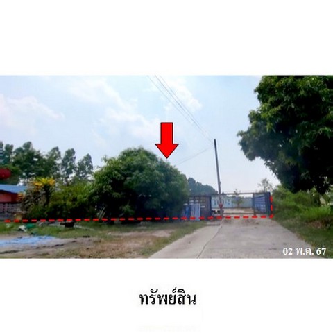 ขายบ้านเดี่ยวถนน พานทอง-หนองแช่แว่น ตำบล มาบโป่ง อำเภอ พานทอง จังหวัด ชลบุรี