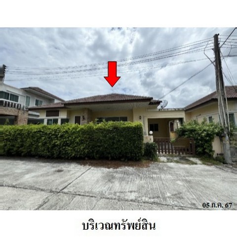 ขายบ้านเดี่ยวโครงการ พานาปาร์ค ถนน ศุขประยูร (ทล.315) ตำบล หนองหงษ์ อำเภอ พานทอง จังหวัด ชลบุรี