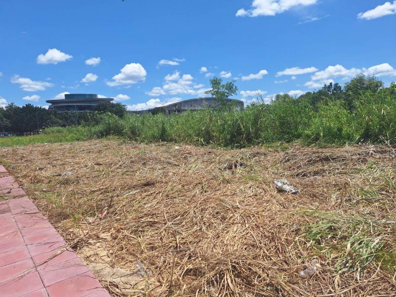 ##ขายที่ดินเปล่า 4-2-0 ไร่ ติด ม.รังสิต ปทุมธานีโซน : เมืองเอก รังสิต  ปทุมธานีที่ตั้ง :  ต.หลักหก  อ.เมืองปทุมธานี  จ.ปทุมธานีลักษณะโดยทั่วไป- ที่ดินเปล่าแปลงใหญ่ ติด ม.รังสิต ทำเลสวยสุดในเมืองเอก- เนื้อที่  4-2-0  ไร่ (ขายรวม 3 โฉนด)- หน้ากว้างติดถนนเอกประจิม  90 ม.  ลึก  79 ม.- แปลงสวย บรรยากาศเงียบสงบ น่าอยู่อาศัย- ศูนย์กลางธุรกิจ การค้าขาย มีแปลงเดียวเท่านั้น!!- ตั้งในแหล่งชุมชน  