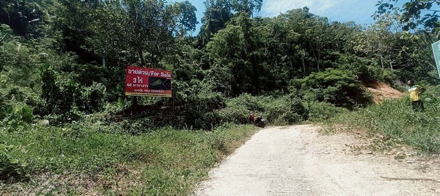 ขายที่เปล่าภูเก็ต...ขายที่ใกล้British International School Phuket ที่ดินมีโฉนด