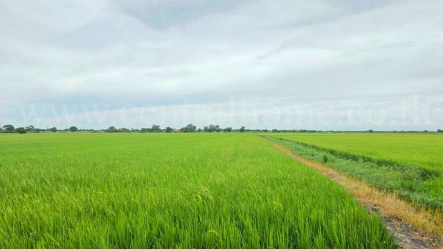 ที่ดินเปล่า 6-1-89 ไร่ คลองนิยมยาตรา บางบ่อ สมุทรปราการ