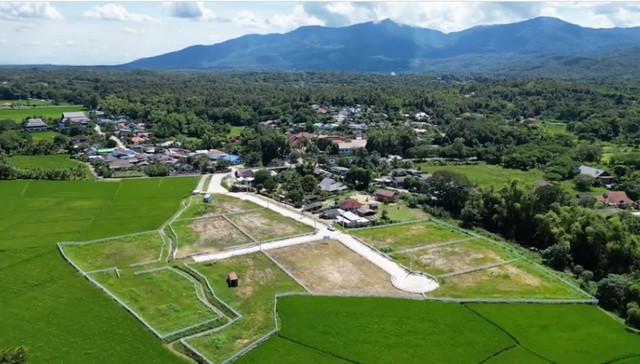 ประกาศขายที่ดินเปล่า วิวเขา 285 ตารางวา แม่ริม เชียงใหม่