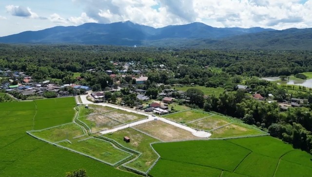 ประกาศขายที่ดินเปล่า 400 ตารางวา วิวเขา แม่ริม เชียงใหม่