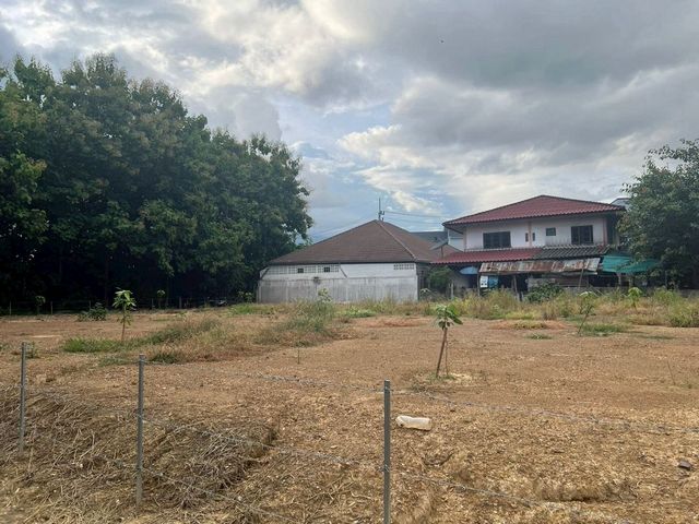 ขายที่ดินตรว.ละ 18,000 บาท #หางดง – #หนองควาย แปลงละ 120 ตรว. มี 3 แปลง ให้เลือก