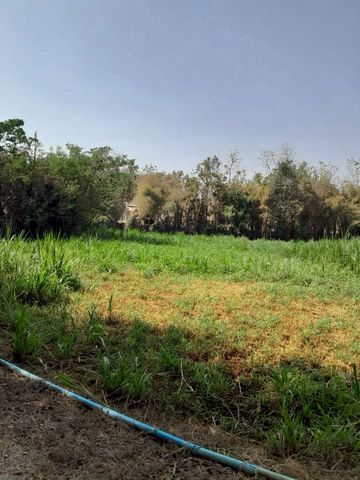 ขายเพียง 2,000,000 บาท ที่ดิน 2 ไร่ ร้องวัวแดง สันกำแพง เหมาะสำหรับสร้างบ้านพักอาศัย รีสอร์ท โกดัง หรือทำการเกษตร เดินทางสะดวก