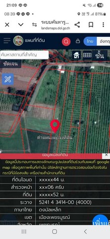 ขายที่ดินสวนมะม่วง-สวนฝรั่ง อำเภอเมืองจังหวัดเพชรบูรณ์ เนื้อที่ 4 ไร่ 2 งาน 75 ตารางวา