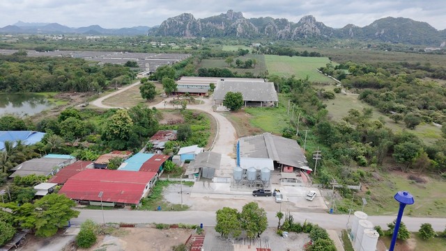 ขายฟาร์มหมูสระบุรี ขายฟาร์มหมูแก่งคอยขายฟาร์ม 303ไร่กว่า ขายพร้อมกิจการพร้อมผู้เช่า ขายฟาร์มอำเภอแก่งคอย สระบุรี