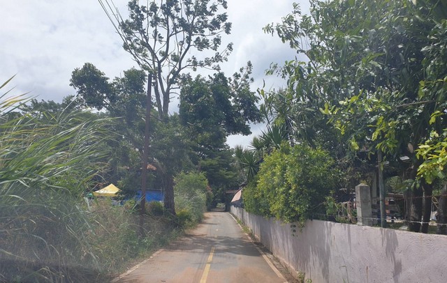                 ที่ดินพร้อมบ้านพักอาศัย 7 ไร่  เขาใหญ่ โอบล้อมด้วยธรรมชาติ  เน้นความโปร่งโล่ง  อากาศถ่ายเทดี  บรรยากาศร่มรื่นเป็นส่วนตัว เน้นการใช้ชีวิตอิสระในธรรมชาติ  อยุ่ด้านหลังโรงเรียนขนงพระใต้  พื้นที่ส่วนกลางทำประโยชน์ได้มาก ที่จอดรถ   พร้อมห้องพักพนักงานสำหรับดูแลสวน การเดินทางสะดวก เข้ามอเตอร์เวย็ถึงเขาใหญ่ไม่ไกลมาก เหมาะเป้นบ้านพักอาศัย  หรือเป็นที่