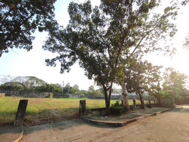 ขายที่ดินเปล่า หมู่บ้านปัญญาอินทรา P.9 ขนาด 1-1-13 ไร่ ทำเลศักยภาพ เหมาะสำหรับสร้างบ้านที่ดินเปล่าในทำเลคุณภาพ! ติดถนนปัญญาอินทรา เขตคันนายาว กรุงเทพฯ เดินทางสะดวก ใกล้สนามกอล์ฟ ทางด่วน และสาธารณูปโภคครบครันรายละเอียด:- ขนาด 1-1-13 ไร่ (513 ตรว.) - ผังเมือง เหลือง ย.3- ที่ดินแปลงมุม รูปสี่เหลี่ยมคางหมู- ขาย 30,780,000 บาท (60,000 บาท/ตรว.)สถานที่ใกล้เคียง:- MRT วงแหวนรามอินทรา (สายสีชมพู) 2.3 