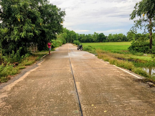 ต้องการขายที่ดินจำนวน 6 ไร่ อยู่ในเขตเทศบาลตำบลระแหง อำเภอลาดหลุมแก้ว ปทุมธานี