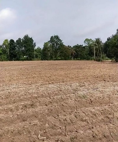 ที่ดินเปล่าแปลงสวย ราคาพิเศษ ใกล้แหล่งท่องเที่ยวฟาร์มแกะพัทยา FP-L01096 