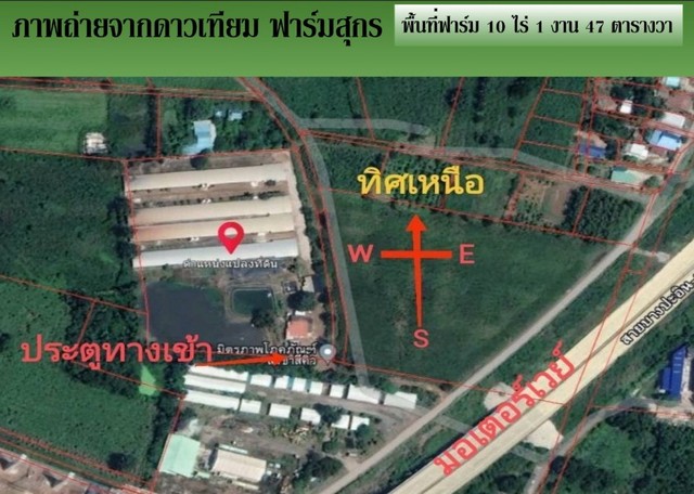 ขายฟาร์มหมู10ไร่กว่าสีคิ้วโคราช ขายฟาร์มหมูในประเทศไทย