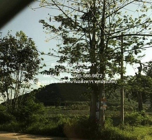 พื้นที่ดิน ขายที่ดินเปล่าปากน้ำปราณ (ห่างชายทะเลปากน้ำปราณ 3 กม.) 335.5 ตร.ว. ทำเลน่าอยู่ ประจวบคีรีขันธ์