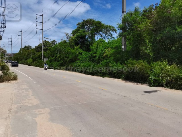 ที่ดินสีม่วง สร้างโรงงาน สร้างโกดัง คลังสินค้า เนื้อที่ 24-0-49 ไร่ ไร่ละ 4 ล้านบาท บ่อวิน ศรีราชา ชลบุรี 20230