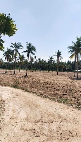 ขายที่ดินบางละมุง ตะเคียนเตี้ย ซอยมาบหว้า ใกล้เคียงเป็นหมู่บ้าน FP-L01097