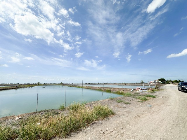 พื้นที่ดิน - พท. 6 Rai 3 Ngan 72 SQ.WA  3465000 บาท. ราคาดีที่สุด สุพรรณบุรี