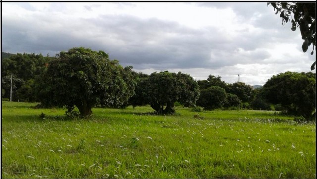 ขายที่ดิน115ไร่ 55ลบ. ฟรีโอน พร้อมบ้านยุโรป3หลัง สาธารณูปโภคครบ เหมาะทำรีสอร์ท คาเฟ่ ที่เที่ยว เกษตร ใกล้เทศบาล ต.ทากาศ อ.แม่ทา ลำพูน