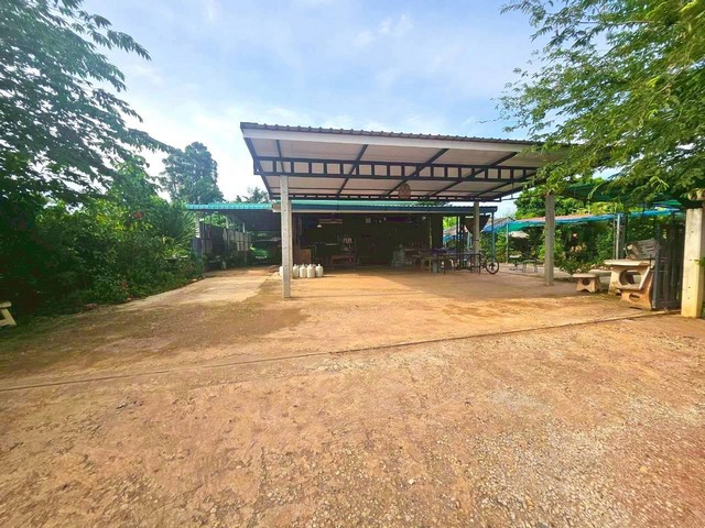 ขายบ้านเดี่ยวชั้นเดียวพนัสชลบุรีที่ดินเนื้อที่ 227 ตารางวา บ้าน 2 นอน 2 ห้องน้ำ อยู่ติดหน้าทางสามารถค้าขาย ,ทำอู่รถหรือธุรกิจอื่นๆ